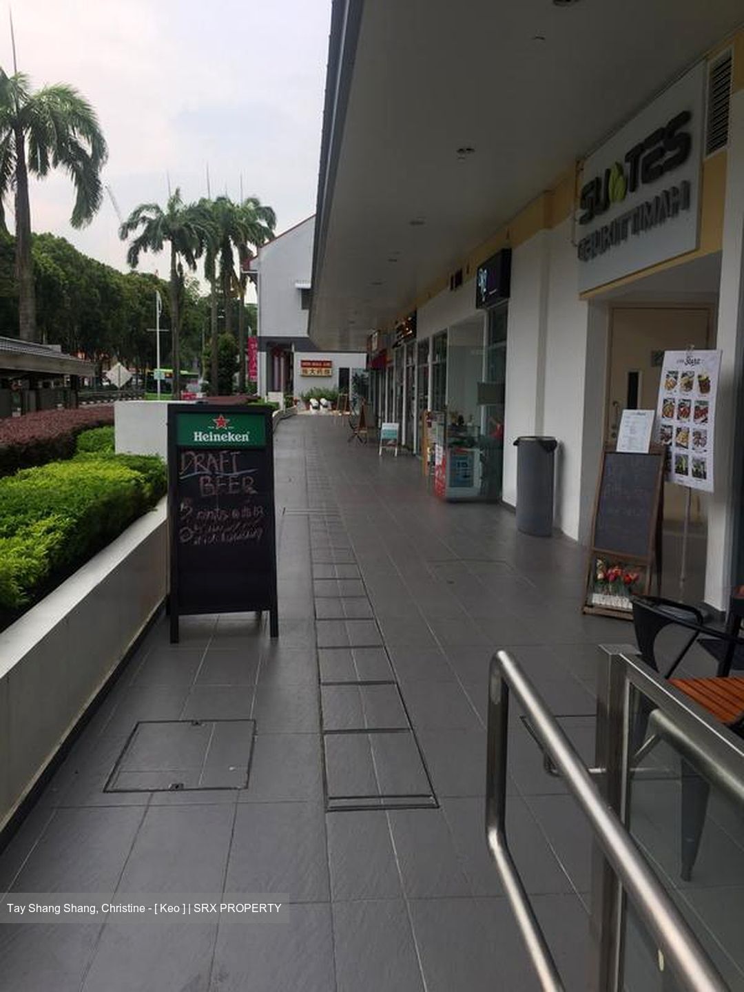 Suites @ Bukit Timah (D21), Shop House #577031281